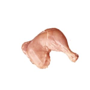 chicken leg