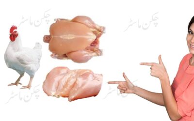 The health benefits of Chicken